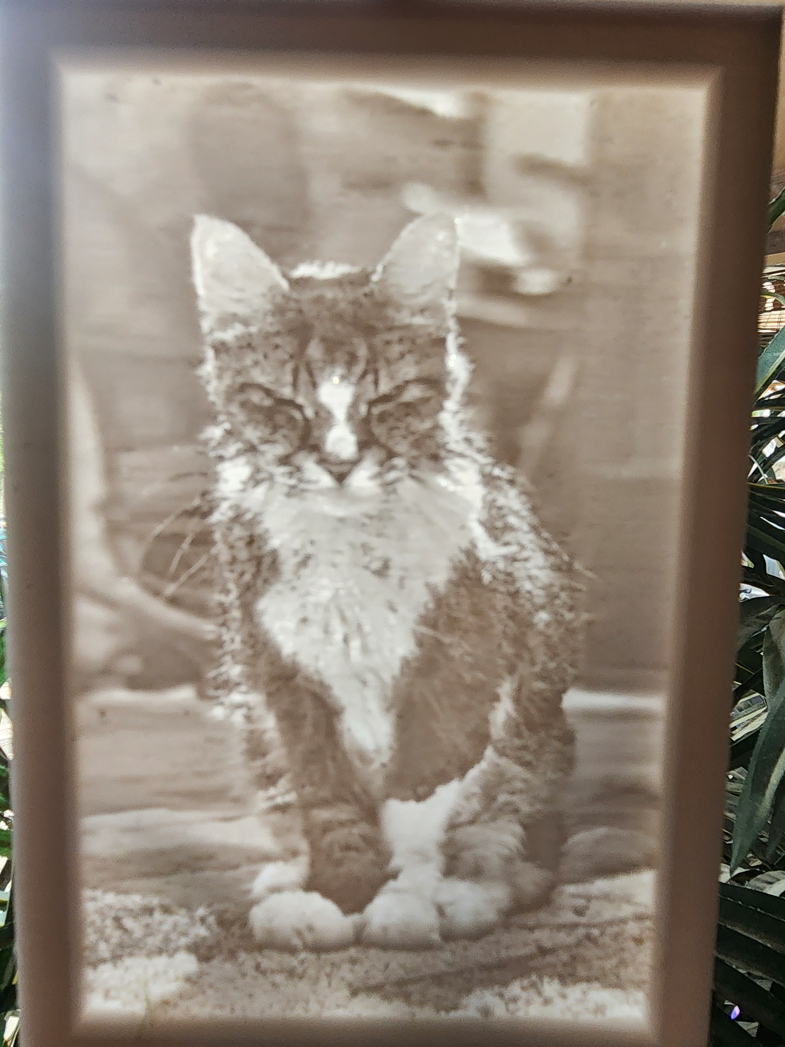 Custom Lithophane