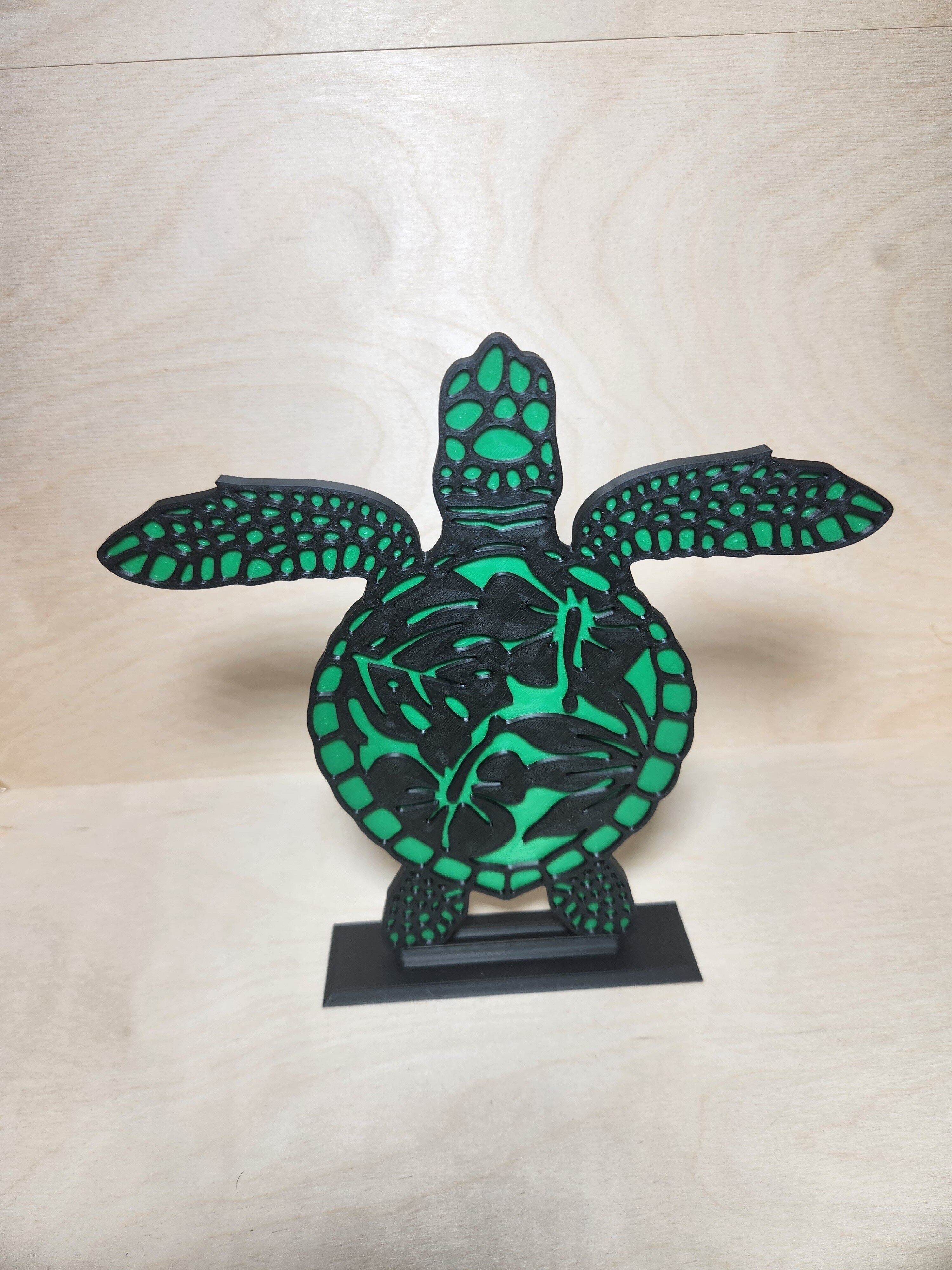 Sea Turtle