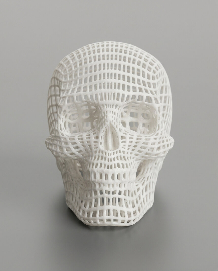 Wireframe Skull